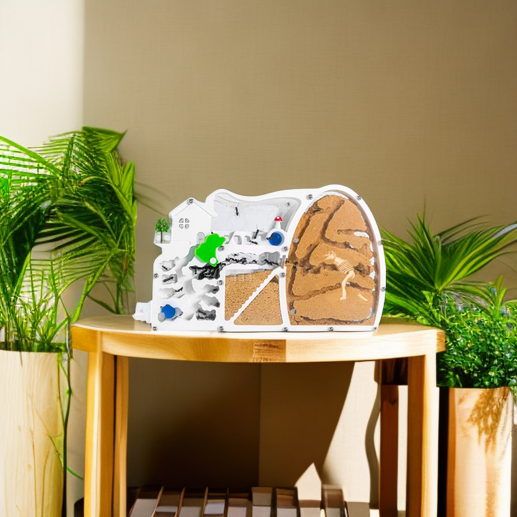 Amazon.com: EXBEPE Large 2 Layer Gel Ant Colony Ecosystem